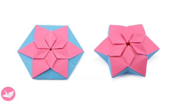 Origami Hexagonal Puffy Star Tutorial Paper Kawaii