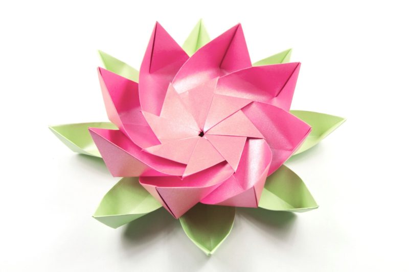 Origami 8 Petal Lotus Flower Photo Tutorial Step By Step Instructions ...