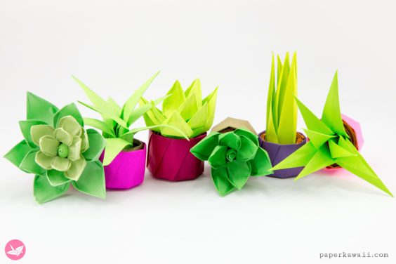 Origami Flowers