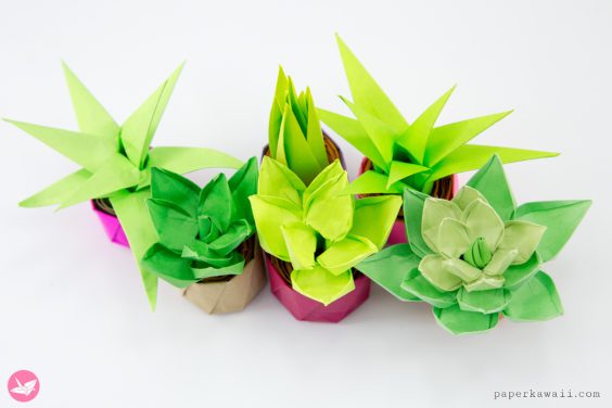 Mini Origami Succulent Plants Tutorial - Paper Kawaii