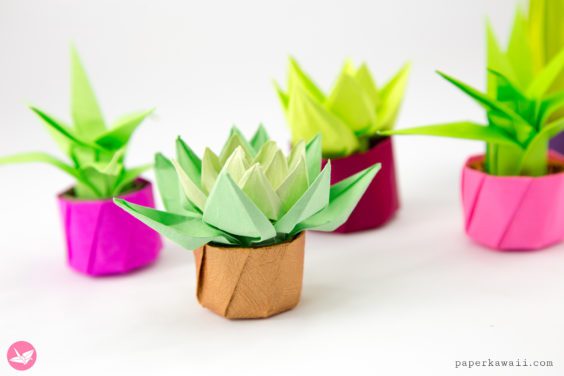 Mini Origami Succulent Plants Tutorial - Paper Kawaii