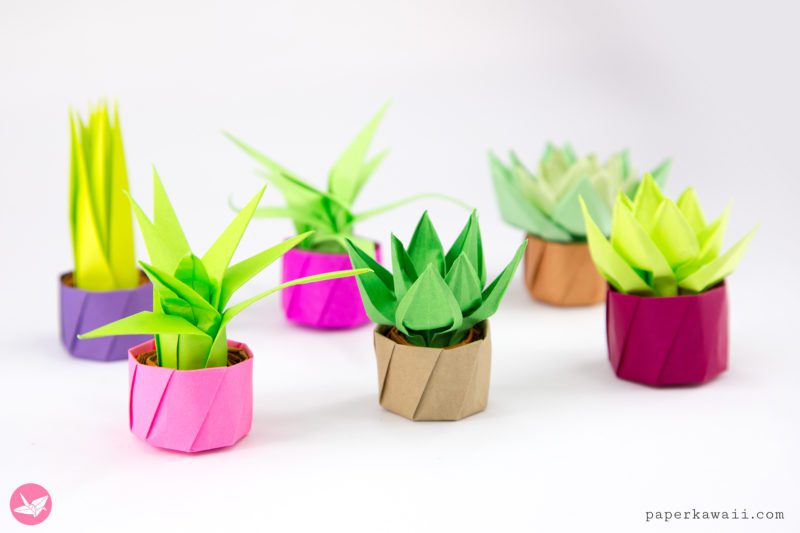 Mini Origami Succulent Plants Tutorial - Paper Kawaii