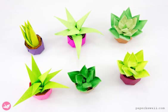 Mini Origami Succulent Plants Tutorial - Paper Kawaii