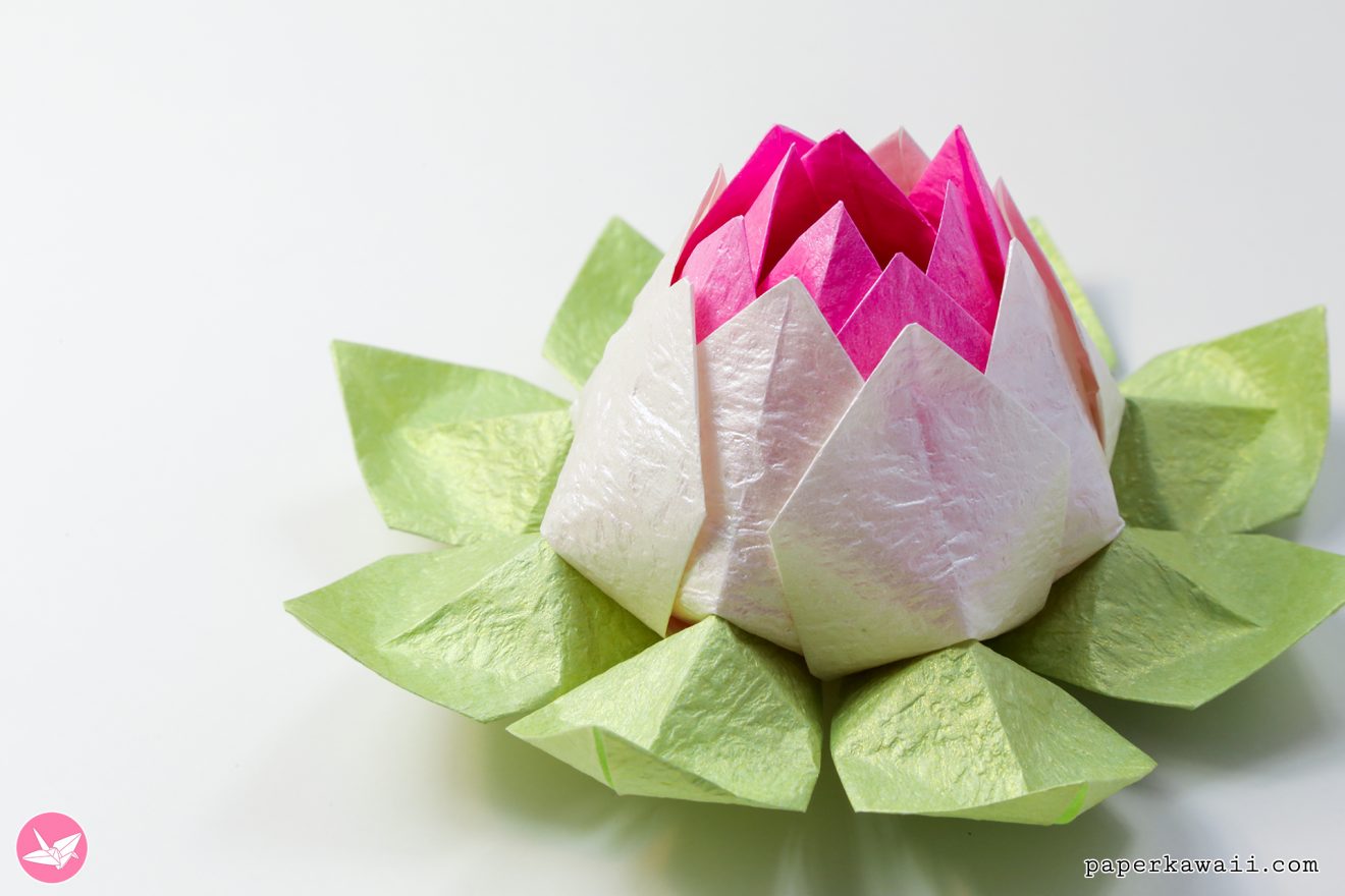 Origami Lotus Flower Tutorial - Paper Kawaii