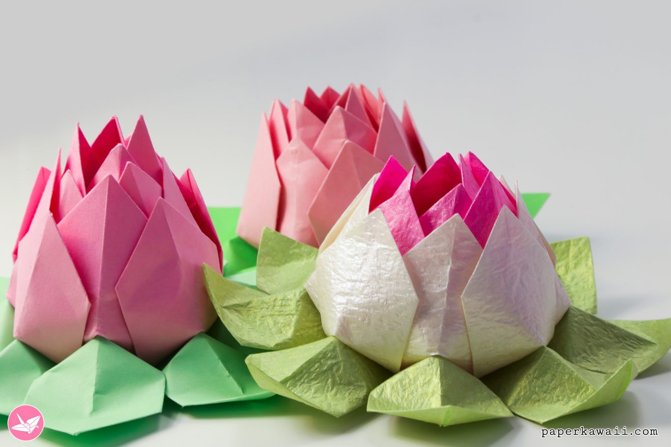 Modular Origami Lotus Flower - Video Tutorial - Paper Kawaii